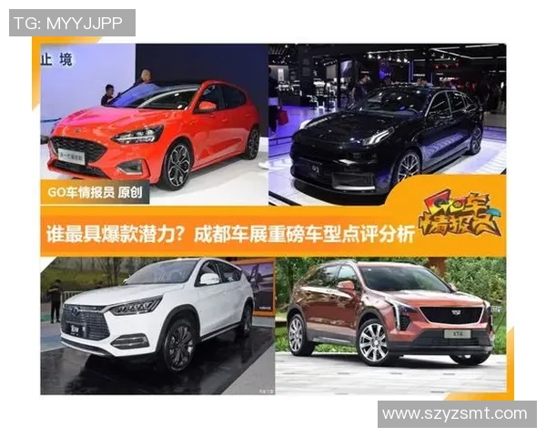 武汉乒乓球队在世界杯预选赛中的技术表现分析与点评