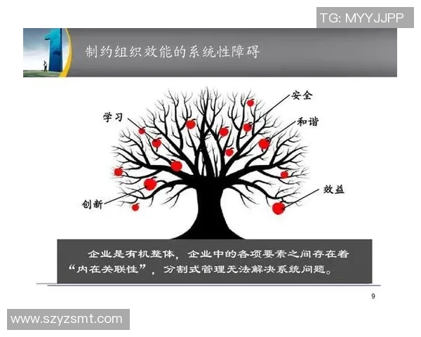 深入探讨V5团队协作模式与其他团队的对比分析与启示